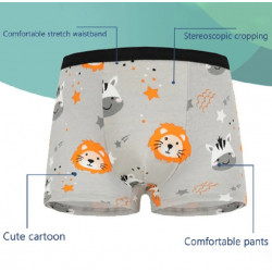 Kids boy underwear