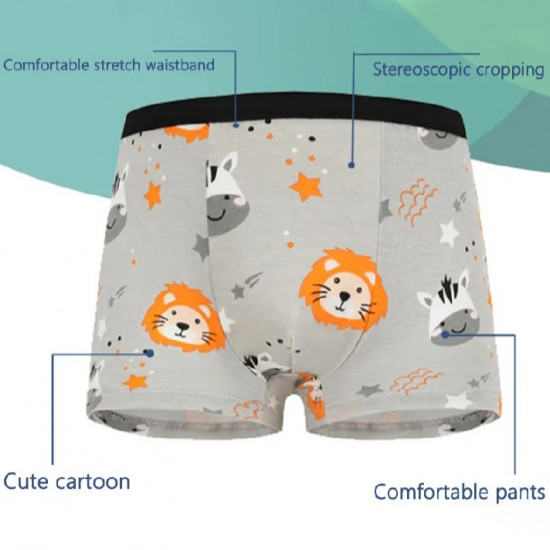 Kids boy underwear