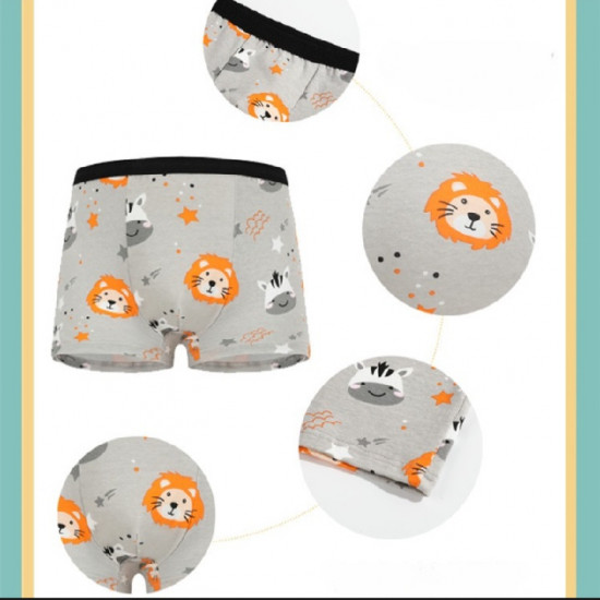 Kids boy underwear