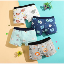 Kids boy underwear