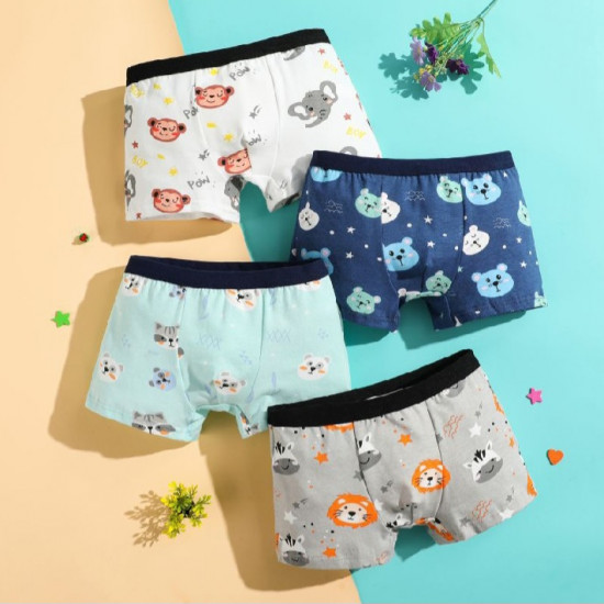 Kids boy underwear