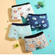 Kids boy underwear