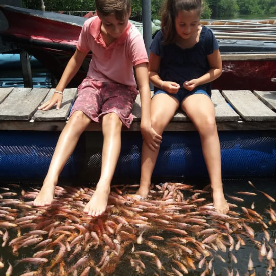 MADU RIVER BOAT SAFARI