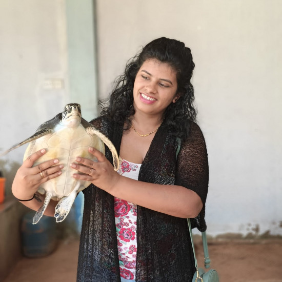 SEA TURTLES HATCHERY