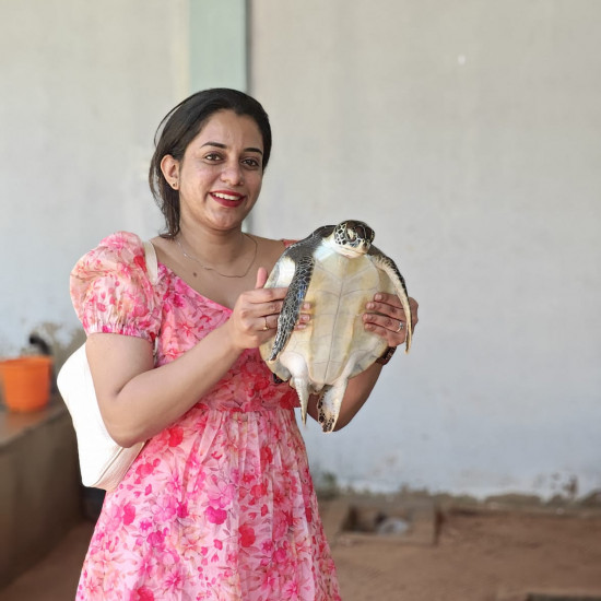 SEA TURTLES HATCHERY