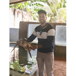 SEA TURTLES HATCHERY