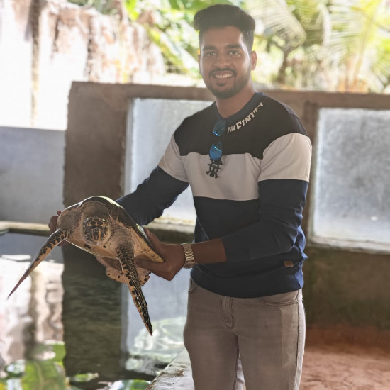 SEA TURTLES HATCHERY