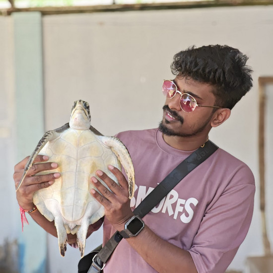 SEA TURTLES HATCHERY