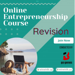 Revision for Online Entrepreneurship Course