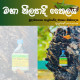 MAHA NILAYADI THAILAYA | මහා නීලයාදී තෛලය